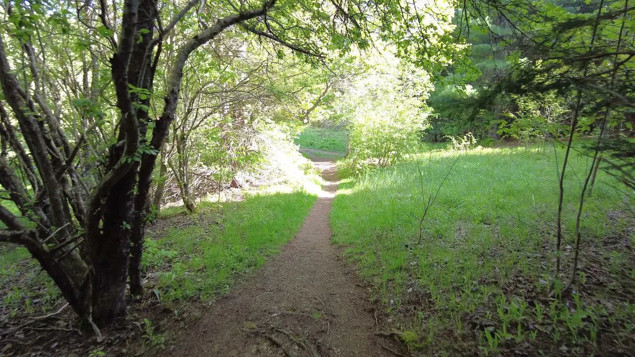 Hiking Through Bonshaw Hills in Prince Edward Island