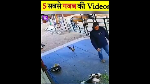 5 Sab sa gazab ki videos