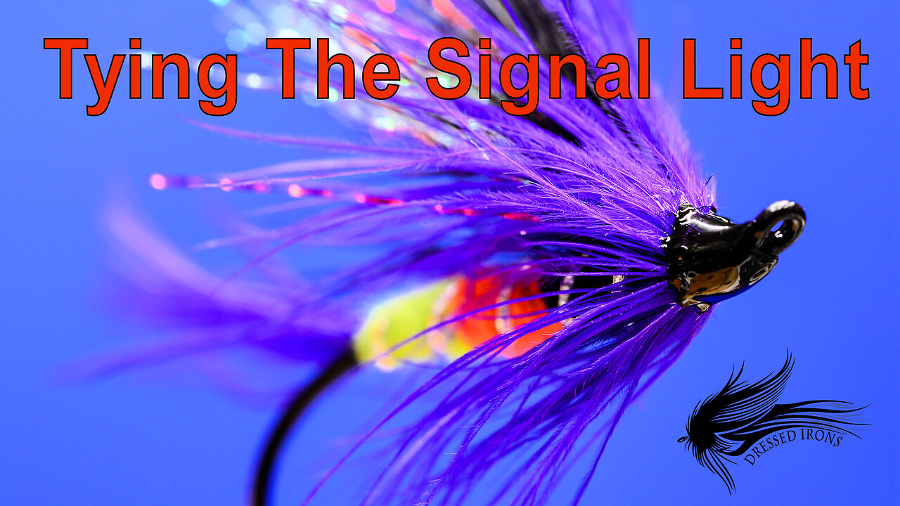 Tying The Signal Light