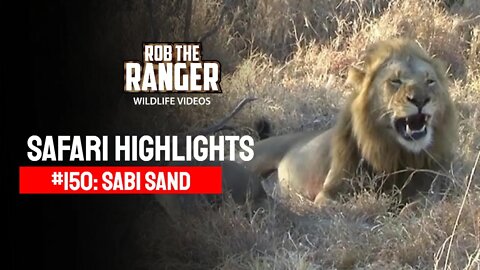 Safari Highlights #150: 19 - 22 July 2012 | Sabi Sand Nature Reserve | Latest Wildlife Sightings