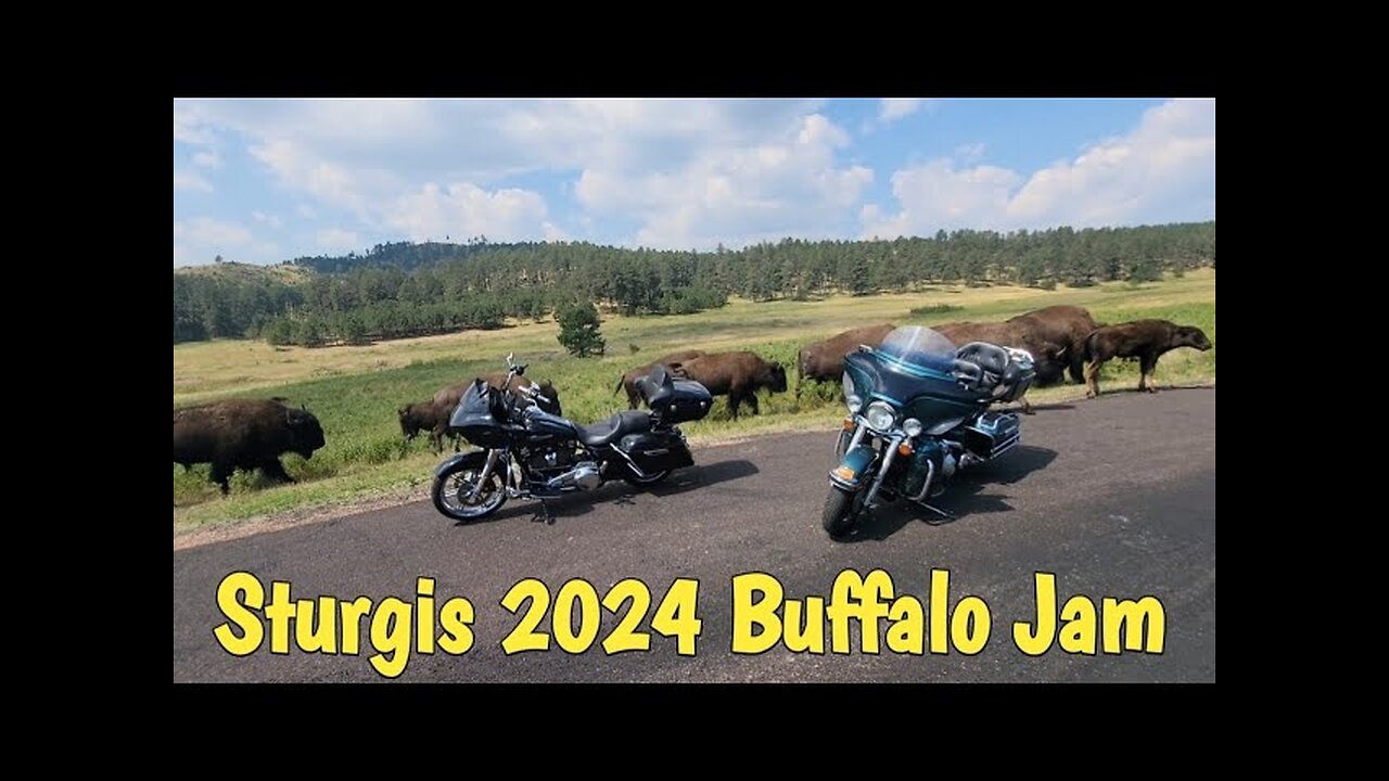 Sturgis 2024 Buffalo Jam