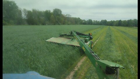 Mowing rye 5-16-23