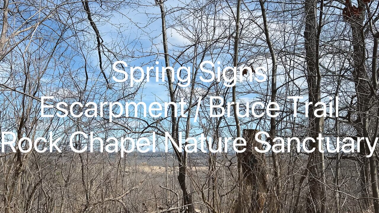 Nature’s Awakening / Escarpment Views | Bruce Trail| Rock Chapel Nature Sanctuary 1/4