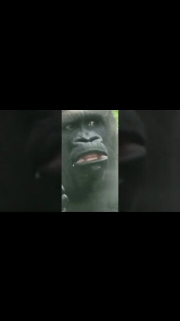 QUANDO EU TÔ COMENDO E VEJO MEU AMIGO PIDÃO🤣🤣🤣