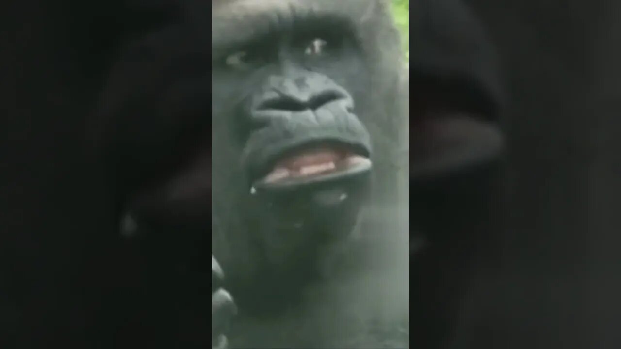 QUANDO EU TÔ COMENDO E VEJO MEU AMIGO PIDÃO🤣🤣🤣