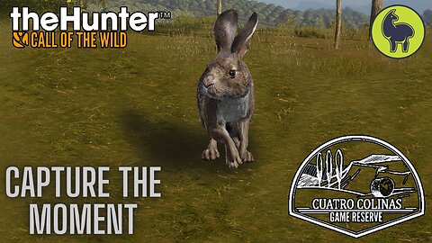 Capture the Moment, Cuatro Colinas | theHunter: Call of the Wild (PS5 4K)