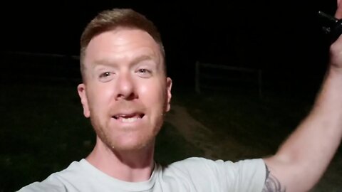 Talking Dogs - Late Night Work. German Shepherds and Malinois - Pointy Ear Love