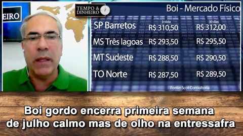 Boi gordo encerra primeira semana de julho calmo mas de olho na entressafra