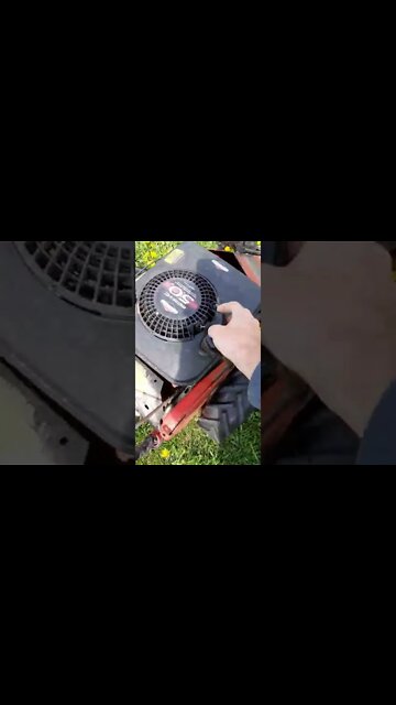 Sickle Mower #rightmeow #ohhighbud #strangedanimal