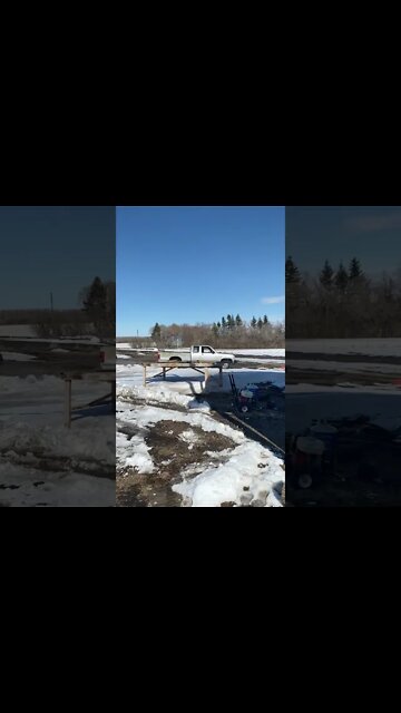 Tim spinning tires in the dekota #shorts