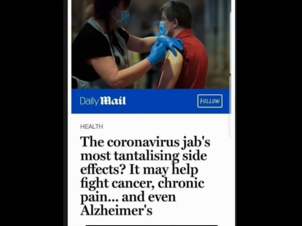 Clown World (lite edition)