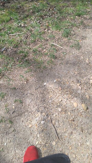 #FJB and Administration