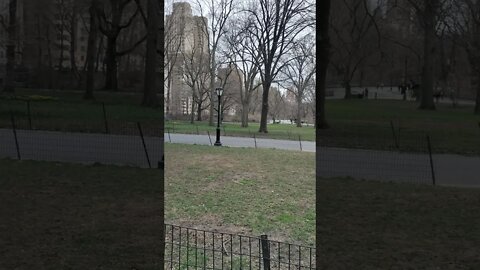 Central Park in New York City 2021.