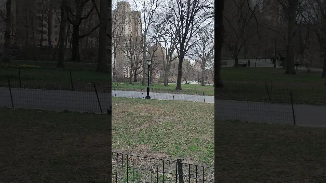 Central Park in New York City 2021.