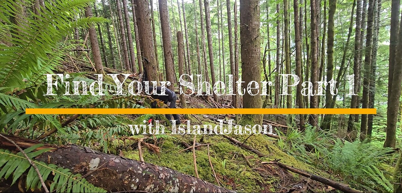 Find Your Shelter with IslandJason