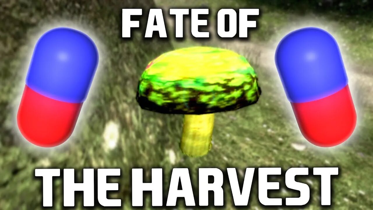 Fate of the Harvest