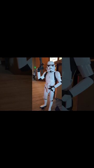 Storm Trooper - Star Wars - Wanted to make sure I wasn't a rebel troublemaker