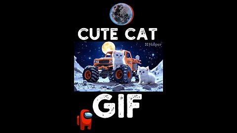 Cute Cat Gif
