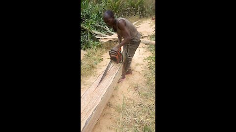 Husqvarna 272 on coconut tree timber making.