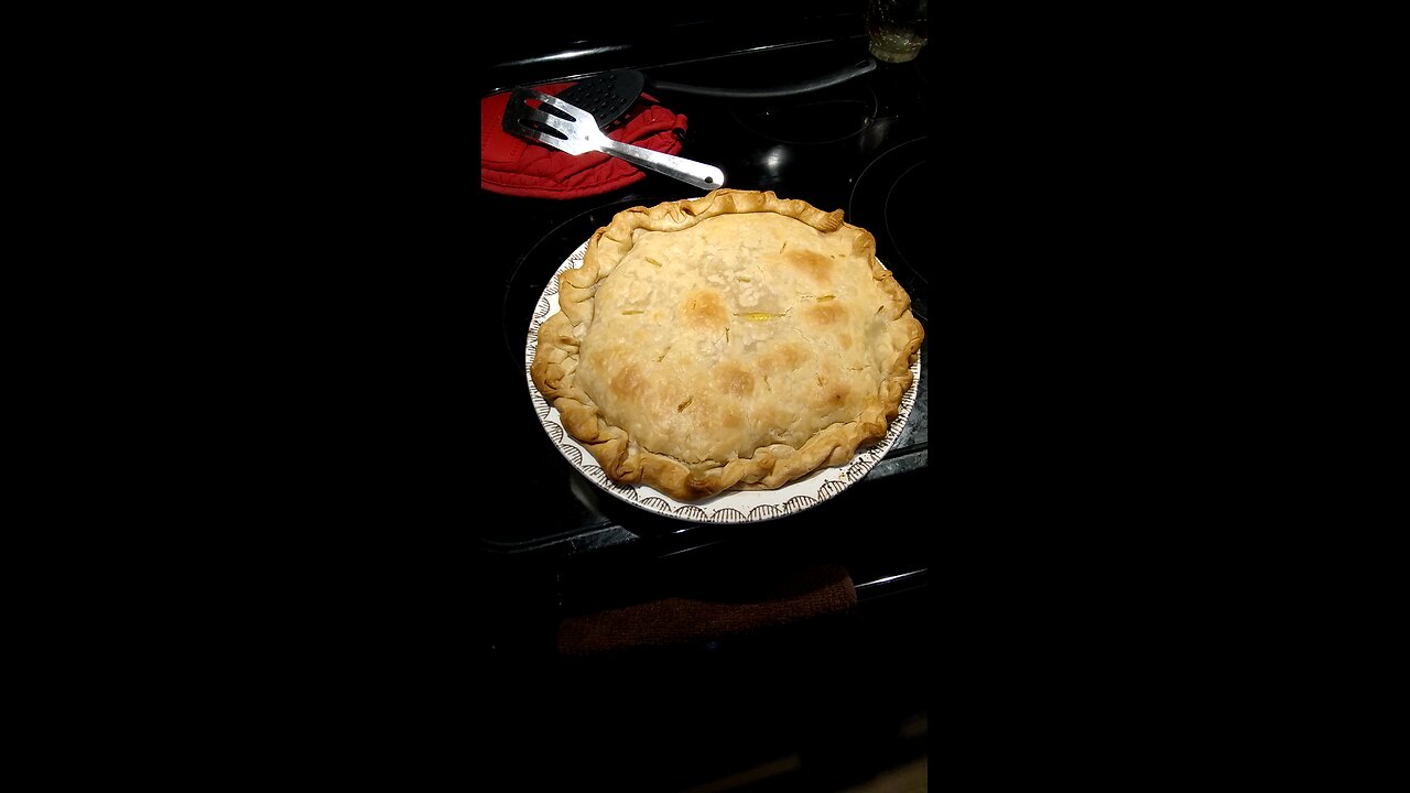 Eating Homemade Chicken Pot Pie Made By My Wife, Dbn, MI, 9/19/24