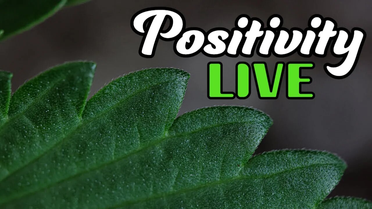 Positivity LIVE (11/12) - Giveaway announcement and Q&A Sesh