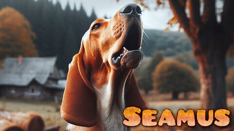 Cover of Seamus