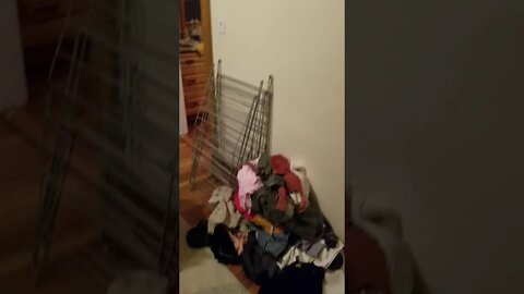 Mess