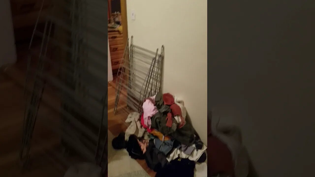 Mess