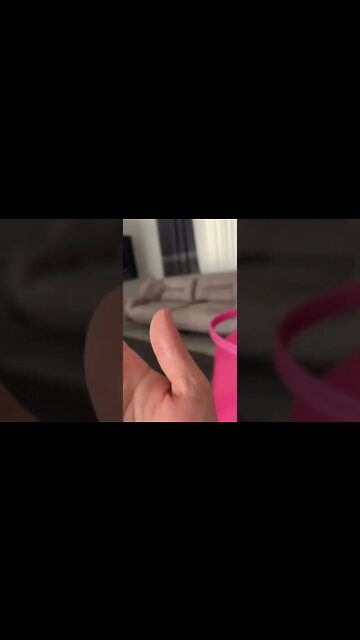 #shorts #2022 funny,prank,funjokes,dad jokes,funny memes,funny video,fun,laughing,funny animal,knock