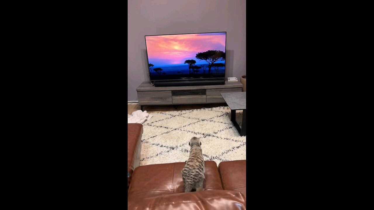 The Lion King