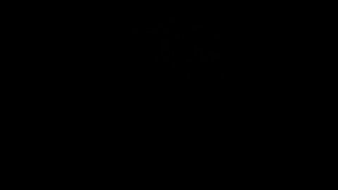 Blessed to be an American