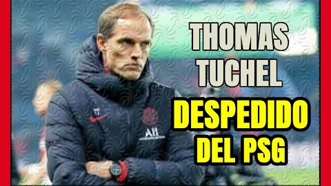 TUCHEL DESTITUIDO DEL PSG! Análisis de los motivos de una decisión ARRIESGADA!