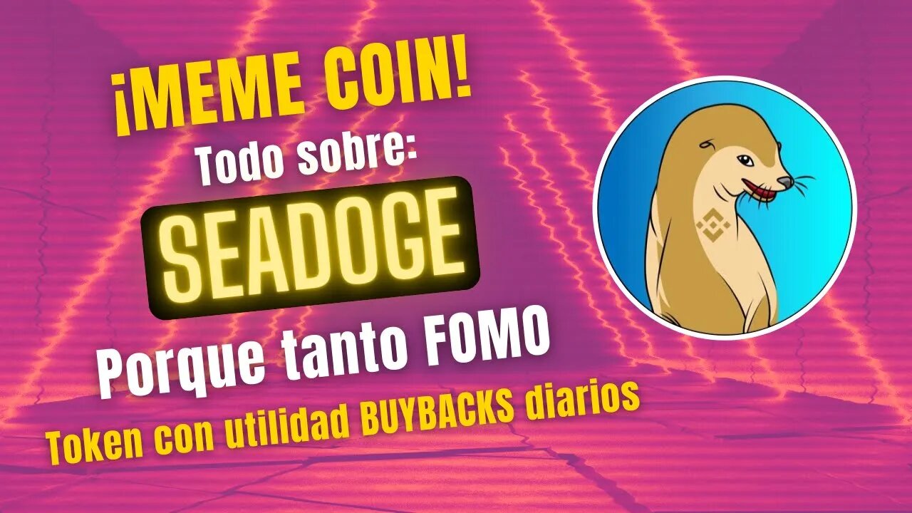 SEADOGE 🤑🤑 Porque tanto FOMO ¡¡Confirmadísima la temporada de Meme coins!!