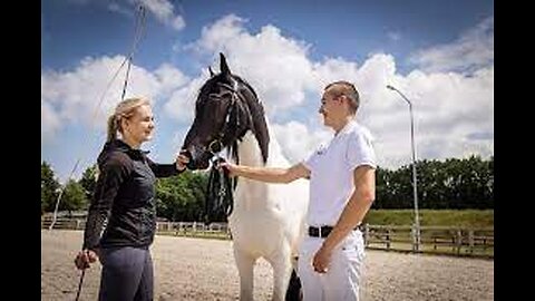 Annabella - paarden opleiding