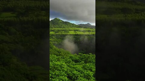 Tranquil Scenery of Hawaii #relaxing
