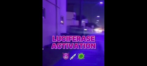 LUCIFERASE ACTIVATION