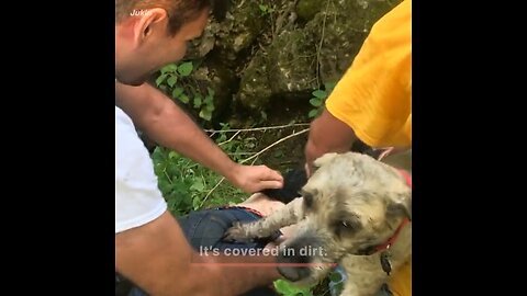 Wow. Girl rescues dog out of a deep hole