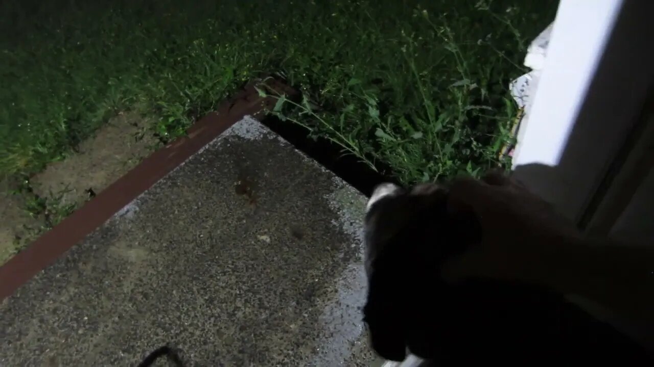 Thunder and lightning Aug,21,2022 Part 1