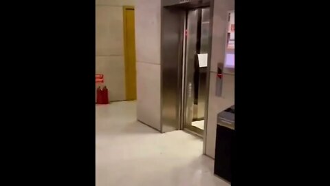 Murderous lift doors gone mad