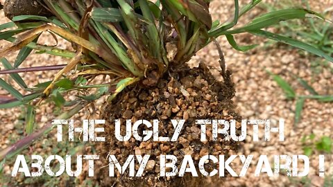The UgLy Truth About My Backyard 2021!
