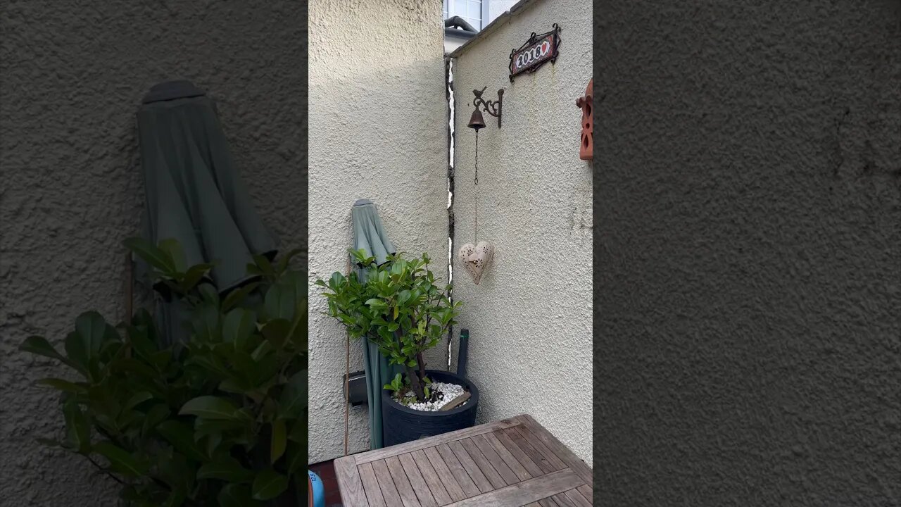 Dodgy wall what would you do #shorts #help #badbuilder #walls #bricklayers #bricklaying #blockwork