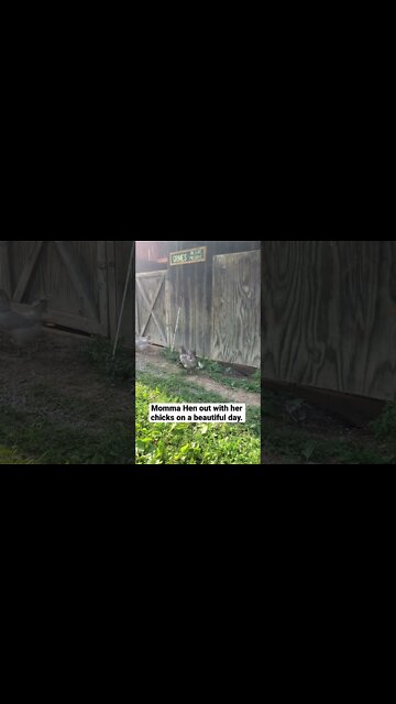 They’re the cutest things ever! #shorts