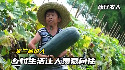 康仔农人：农村大叔与邻居记录生活拥粉近千万，网友：乡村生活幸福很简单