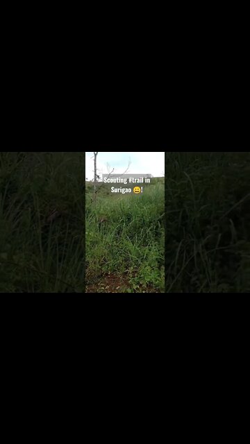 Scouting for #trails in Surigao! #mtb #surigao #trailbike #scouting #hardtailday #hardtail #speedone