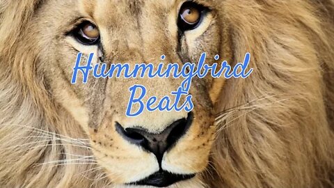 In My Mind by Deoxys Beats (No Copyright Music)