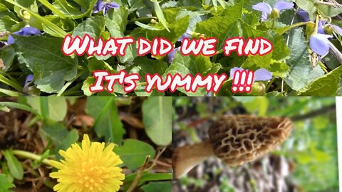 Wild harvest. Get the KIDS involved and outdoors.