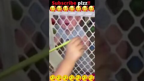 #funnybaby #cutebaby 😍😜😍🤗#2022 #shorts #shortvideo #funny #cute #kids😘 #love #comedy #compilation😜