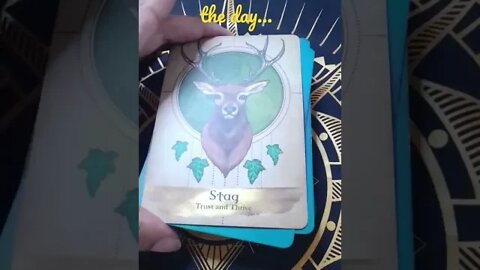 Daily Oracle: the stag