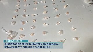 Mais 2 Prisões: Suspeitos de crime durante a madrugada em Alpercata presos a tarde em GV.