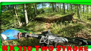 Checking the trails after spring storms | RARE Kawasaki 2 Strokes